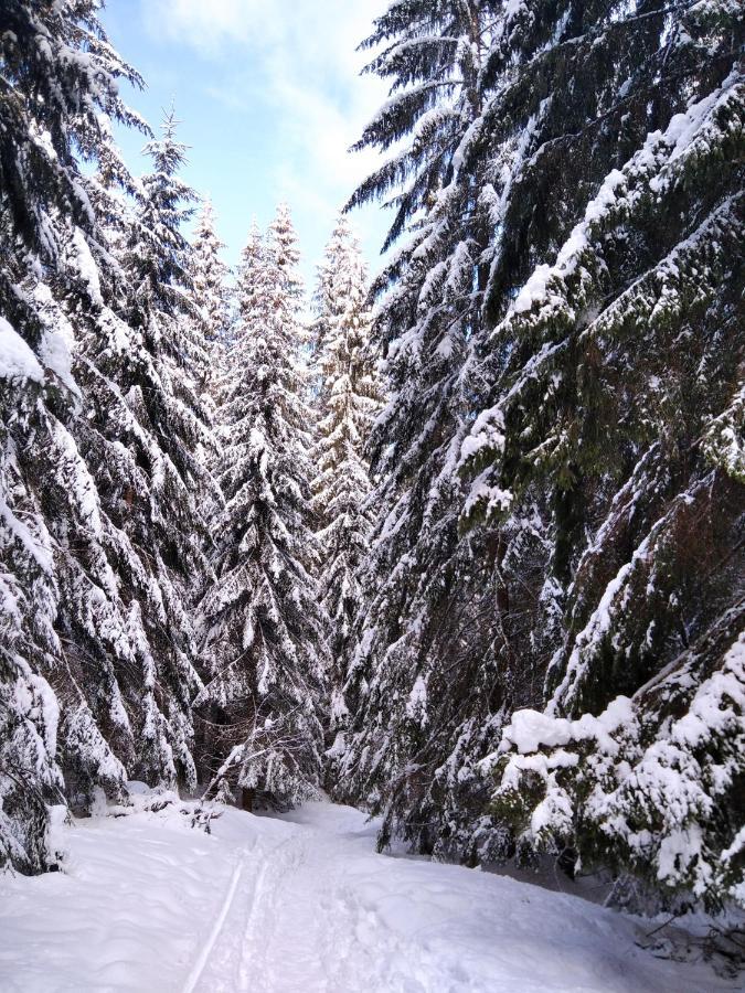 Ski Apartmany Spiezovec Donovaly Εξωτερικό φωτογραφία